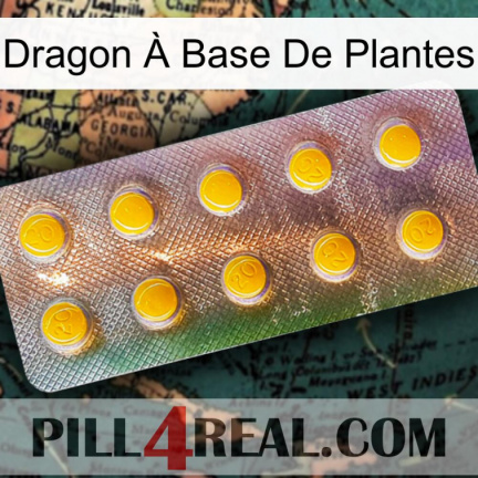 Dragon À Base De Plantes new11